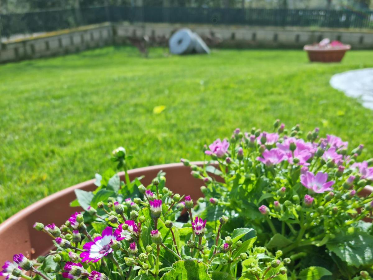 Il Casale Nel Parco Guesthouse Roma Ngoại thất bức ảnh