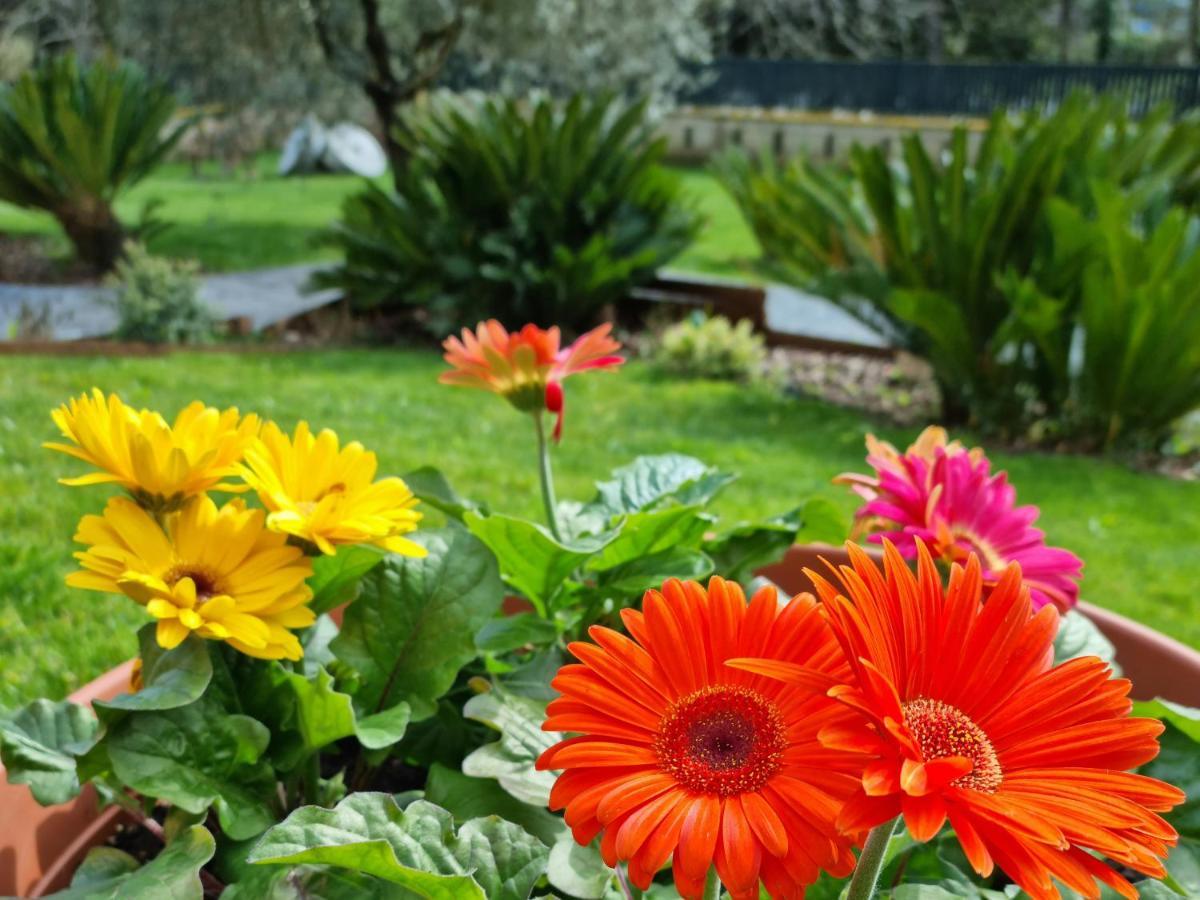 Il Casale Nel Parco Guesthouse Roma Ngoại thất bức ảnh